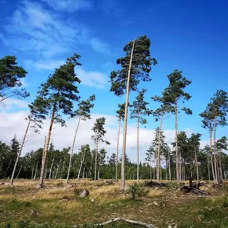 8 Person In Vaeggerlose * Bøtø By