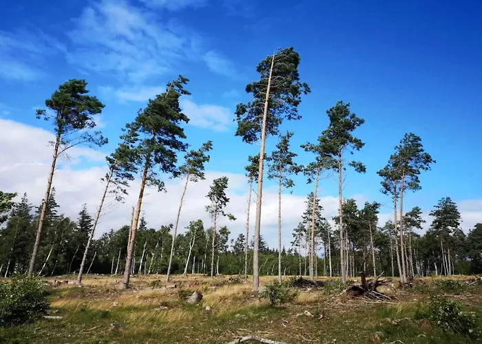 8 Person In Vaeggerlose * Bøtø By